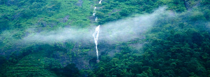 1022/The Elephant Court - Thekkady 23.jpg